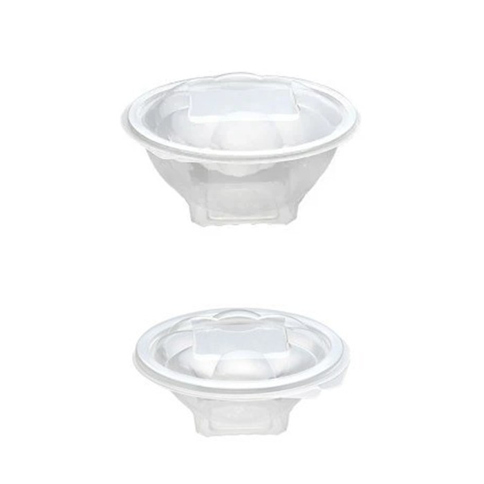 Home Salad Plastic Boxes- Disposable Salad Containers with Lids